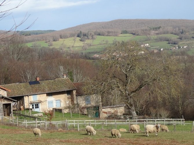 En Bourgogne du sud, entre terroirs viticoles et pâtures charollaises. A 15 min de Cluny, 25 de la gare TGV de Mâcon-Loché, 3/4 h de Lyon.
