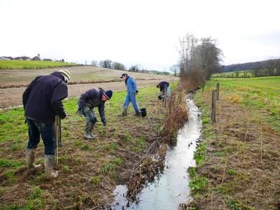 <p>Cette haie de bords de cours d&rsquo;eau a un double objectif : pr&eacute;venir l&rsquo;&eacute;rosion de la berge et de maintenir un corridor biologique fonctionnel.</p>
