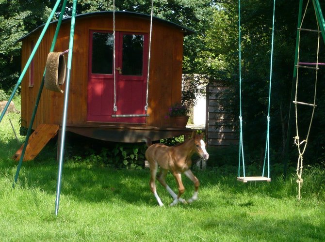 Entre Avallon (89) et Saulieu (21), à 45 minutes au sud d'Auxerre. Sortie Avallon A6 à 10 minutes. Vezelay à 35mn. La ferme est isolée au dessus d'un étang. La commune fait partie du parc du Morvan. Maison du parc à 35mn, Vézelay à 30mn.