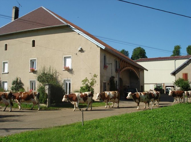 Altitude 800m. Près de Nozeroy (cité comtoise de caractère, la forêt de la Joux (plus belle sapinière d'Europe). Champagnole 15km, Pontarlier 30km, à proximité de la Suisse.