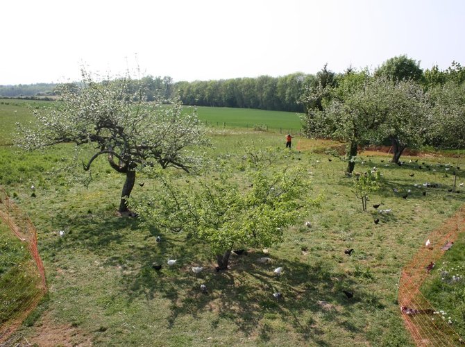 Foulenay se trouve au coeur de la bresse jurassienne, petit village de 80 habitants à 2 minutes de Chaumergy petit bourg avec les commerces de premiere nécessité
De nombreuses ballades autour des etangs vous permettront d'observer les oiseaux.