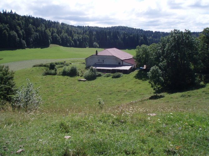 Altitude 1200m au coeur du Parc naturel régional du Ht-Jura. Lyon, Besançon 2h, Genève 1h, St-Claude 20 mn, Les Rousses 20 mn. Maison isolée entre Lajoux et Les Moussières (C9), chemin d'accès 200m non déneigé.