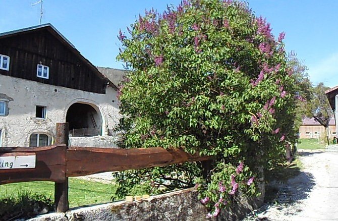 Altitude 500m. La ferme se trouve au bout de la vallée du Doubs, sur la D437. À 20 minutes de Saint-Hippolyte, 30 minutes de Pont-de-Roide et 45 minutes de Montbéliard. 10 km de la Suisse.