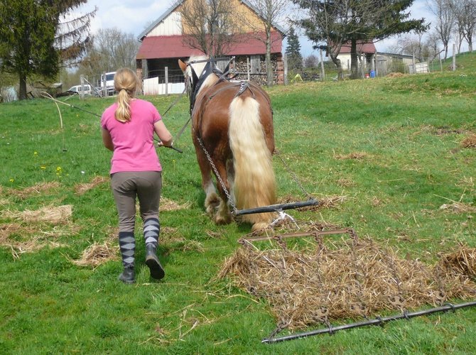 Ferme rénovée, cadre préservé, à 10 minutes d'Arbois, Poligny, 30 minutes de Dole, Lons-le-Saunier, 1 heure de Dijon, Besançon.